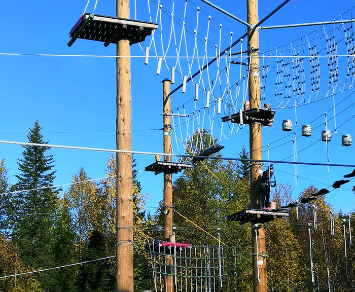 Mobimaticlaisia virkistyspäivää viettämässä kiipeilypuistossa.